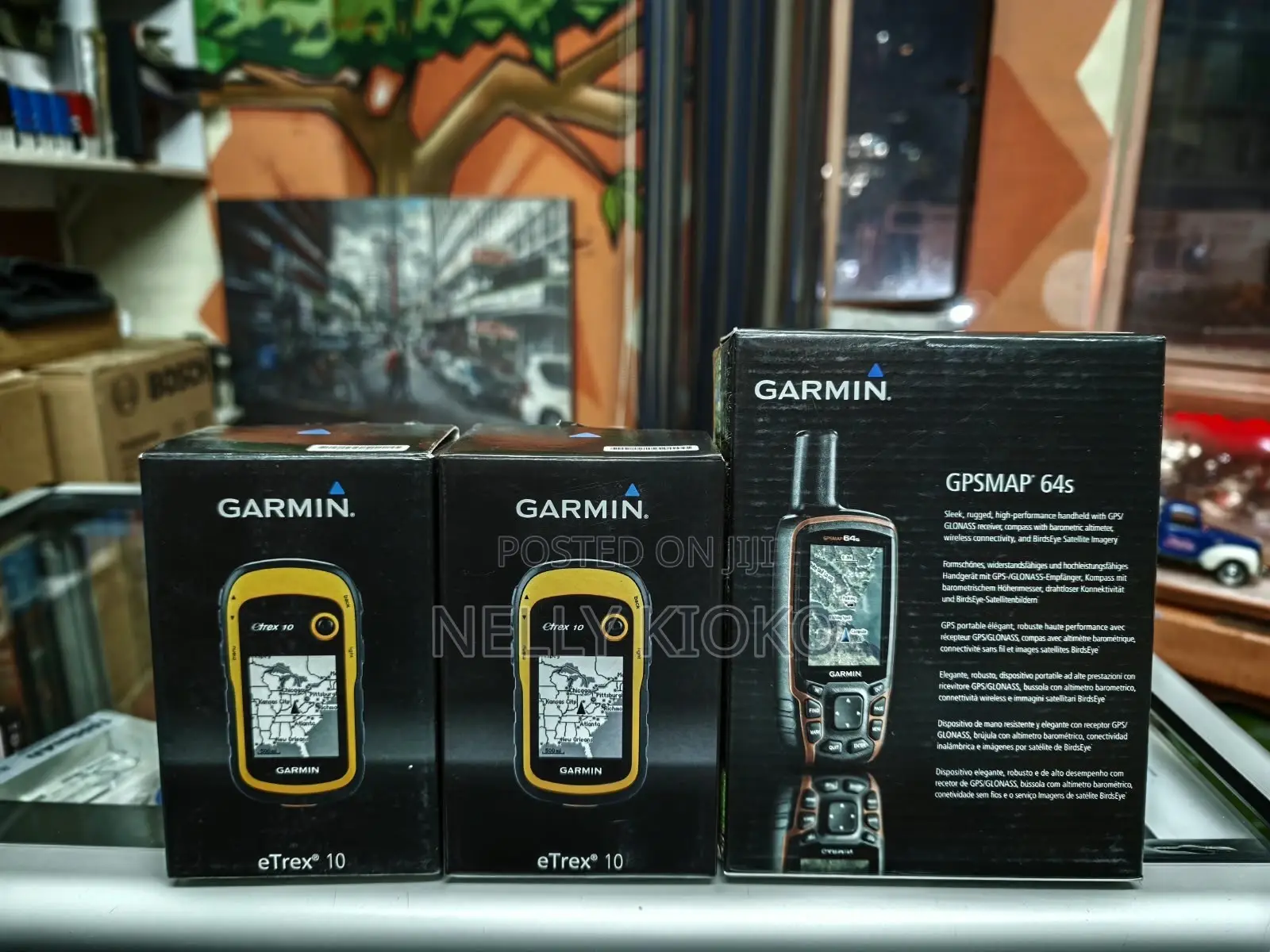 Garmin Etrex 10