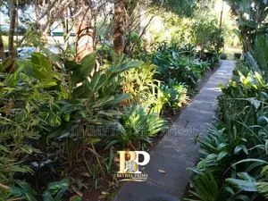 Furnished 1bdrm House in Kitisuru for rent