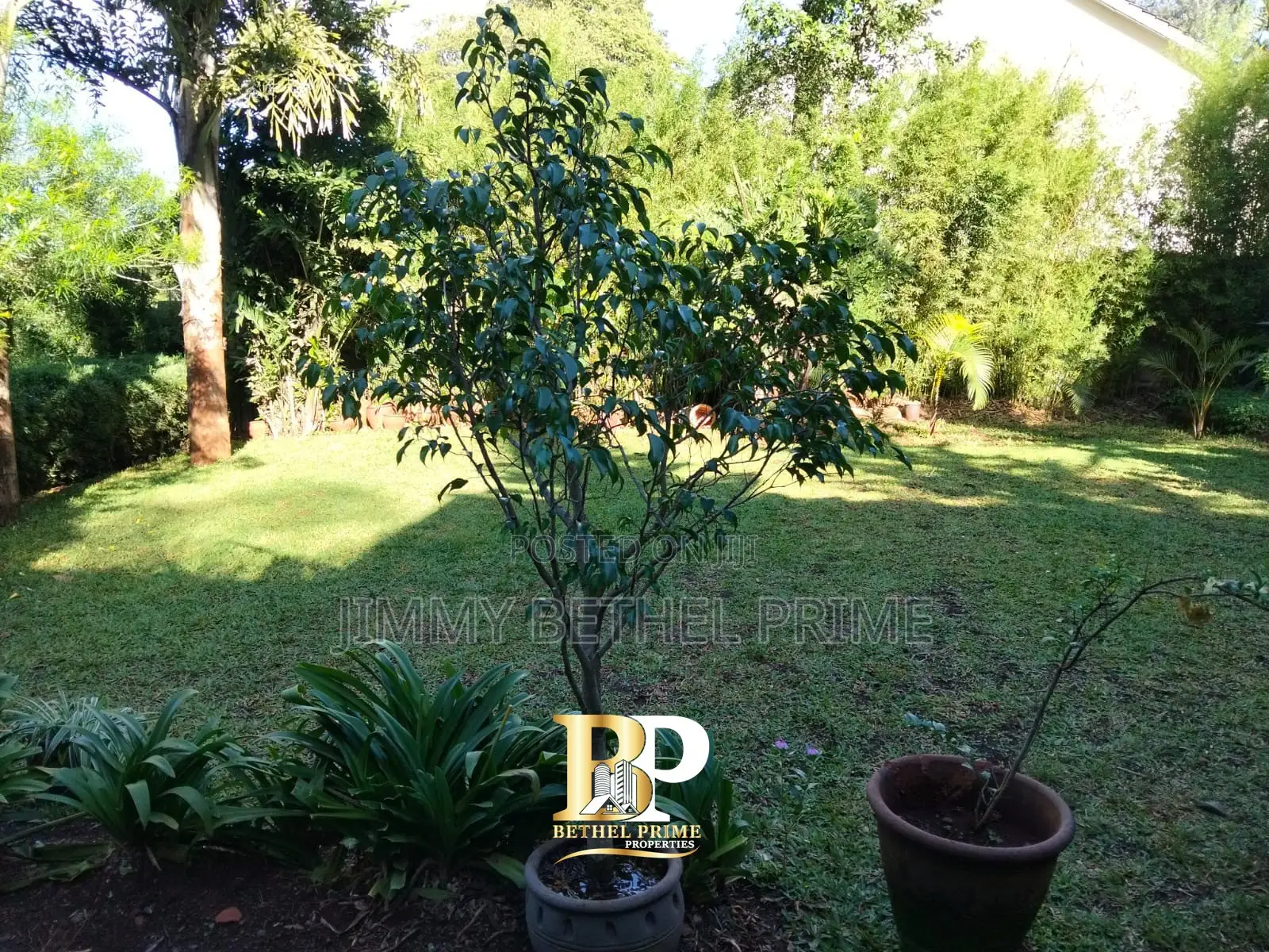 Furnished 1bdrm House in Kitisuru for rent