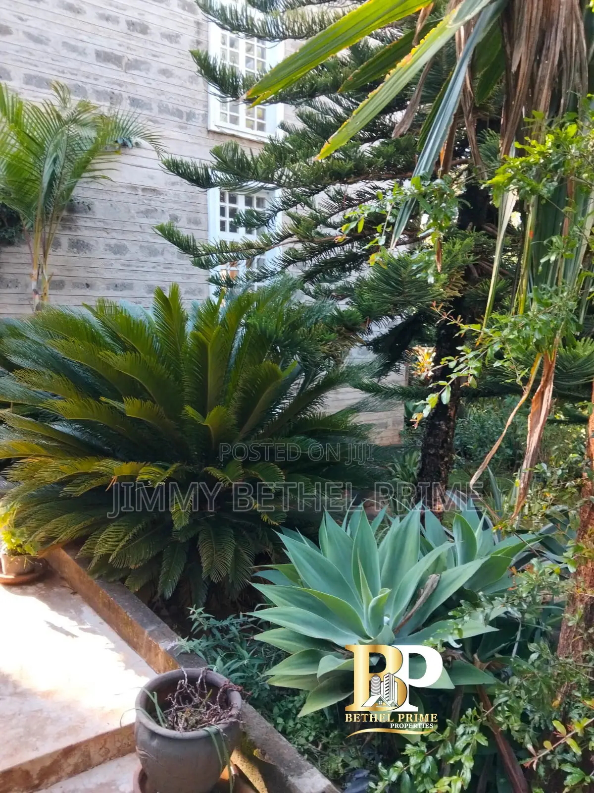 Furnished 1bdrm House in Kitisuru for rent