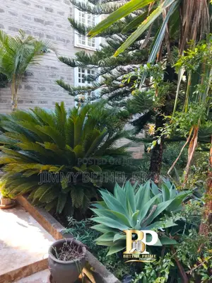 Furnished 1bdrm House in Kitisuru for rent