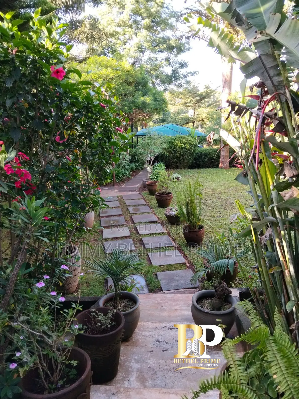 Furnished 1bdrm House in Kitisuru for rent