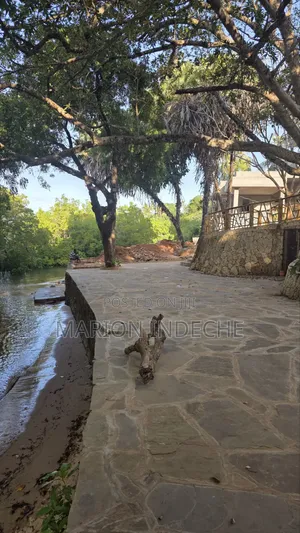 Prime Quater Acres for Sale in Shanzu by the Creek