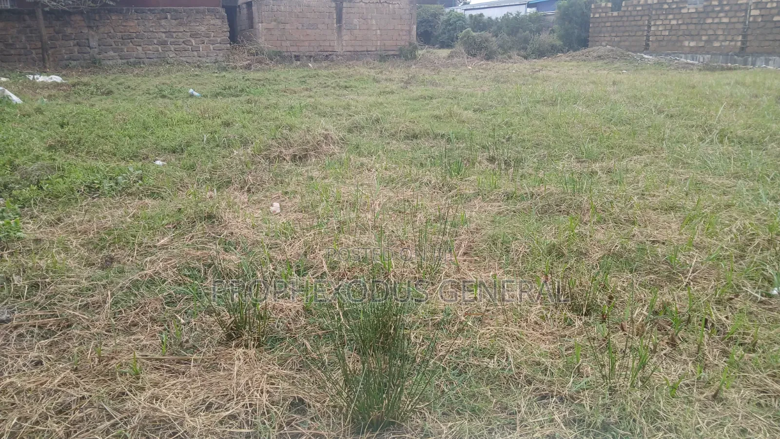 50ft by 100ft Prime Plots for Sale in Ongata Rongai Gataka Road.