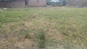 50ft by 100ft Prime Plots for Sale in Ongata Rongai Gataka Road.