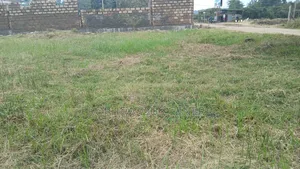 50ft by 100ft Prime Plots for Sale in Ongata Rongai Gataka Road.