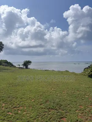 One Acre Msambweini