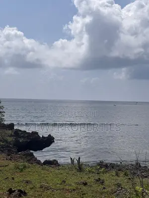 One Acre Msambweini