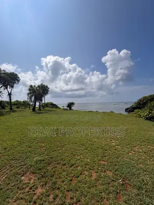 One Acre Msambweini
