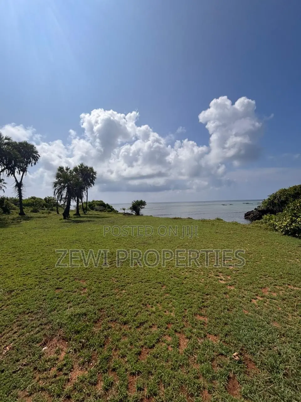 One Acre Msambweini