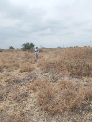 Plots for Sale