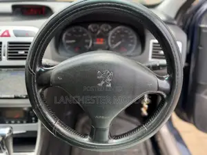 Peugeot 307 2.0 SW 2007 Blue