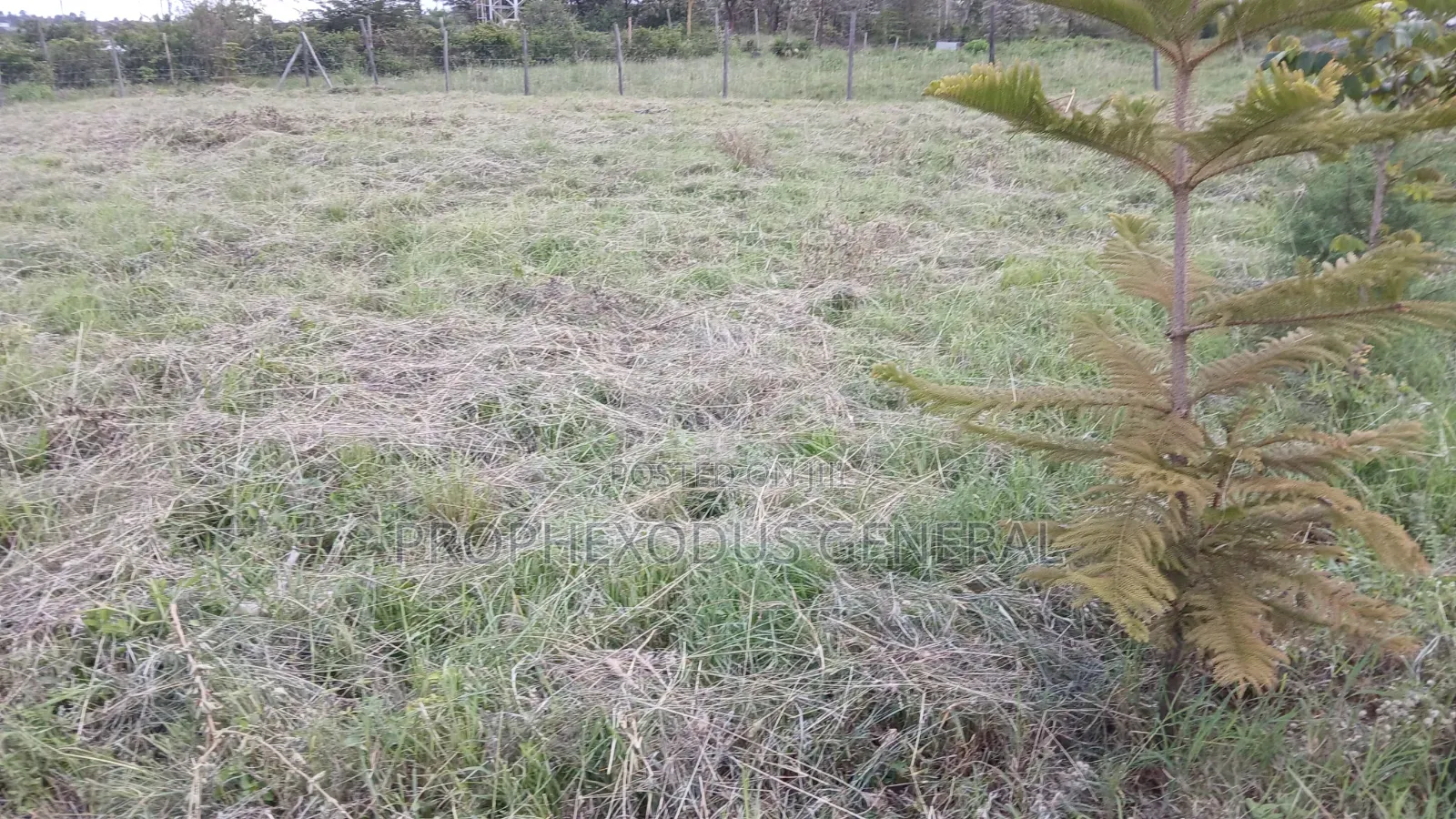 1 Acre Prime Land for Sale in Ongata Rongai Masaai Lodge..