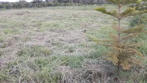 1 Acre Prime Land for Sale in Ongata Rongai Masaai Lodge..