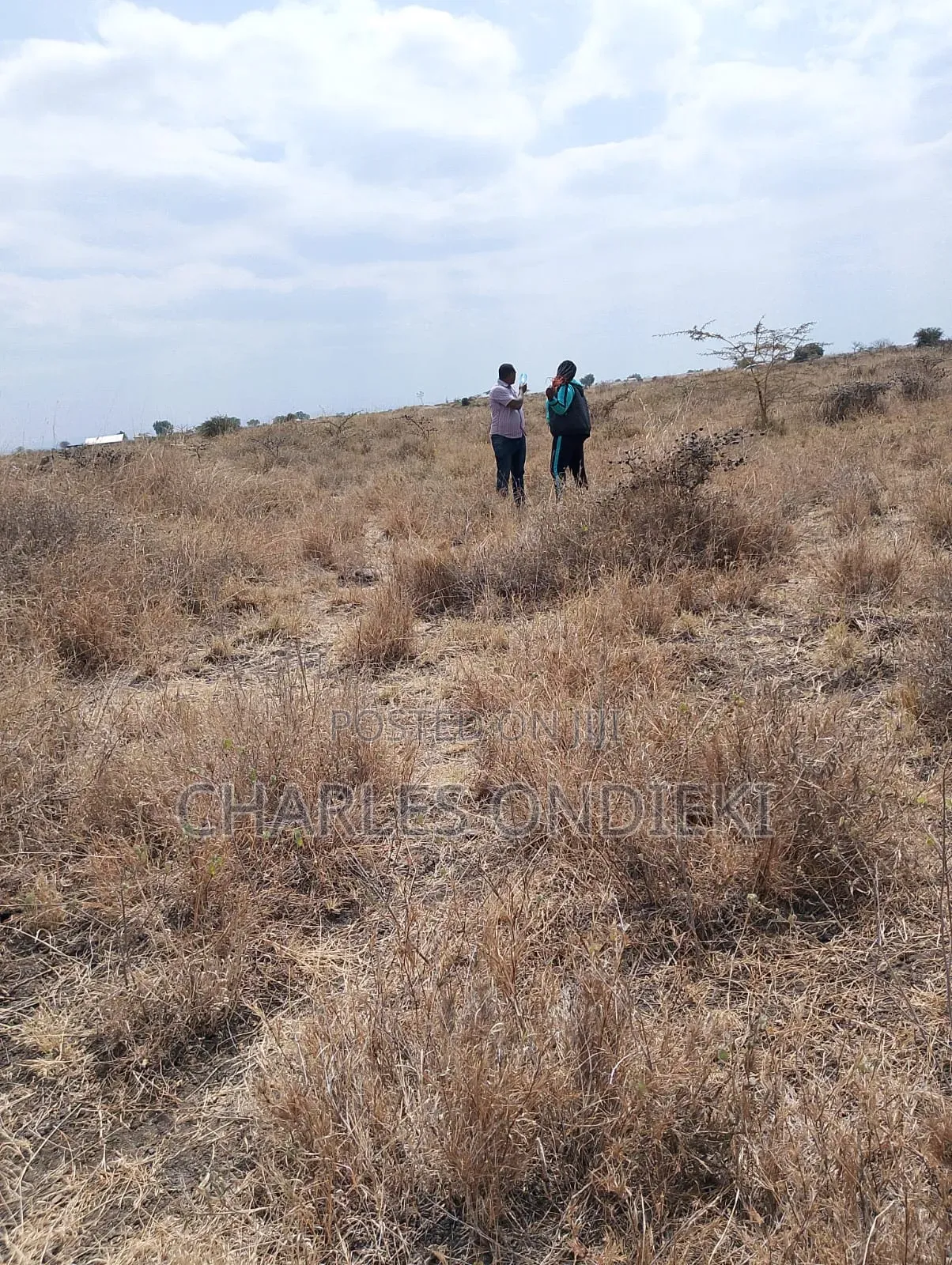 Plots for Sale
