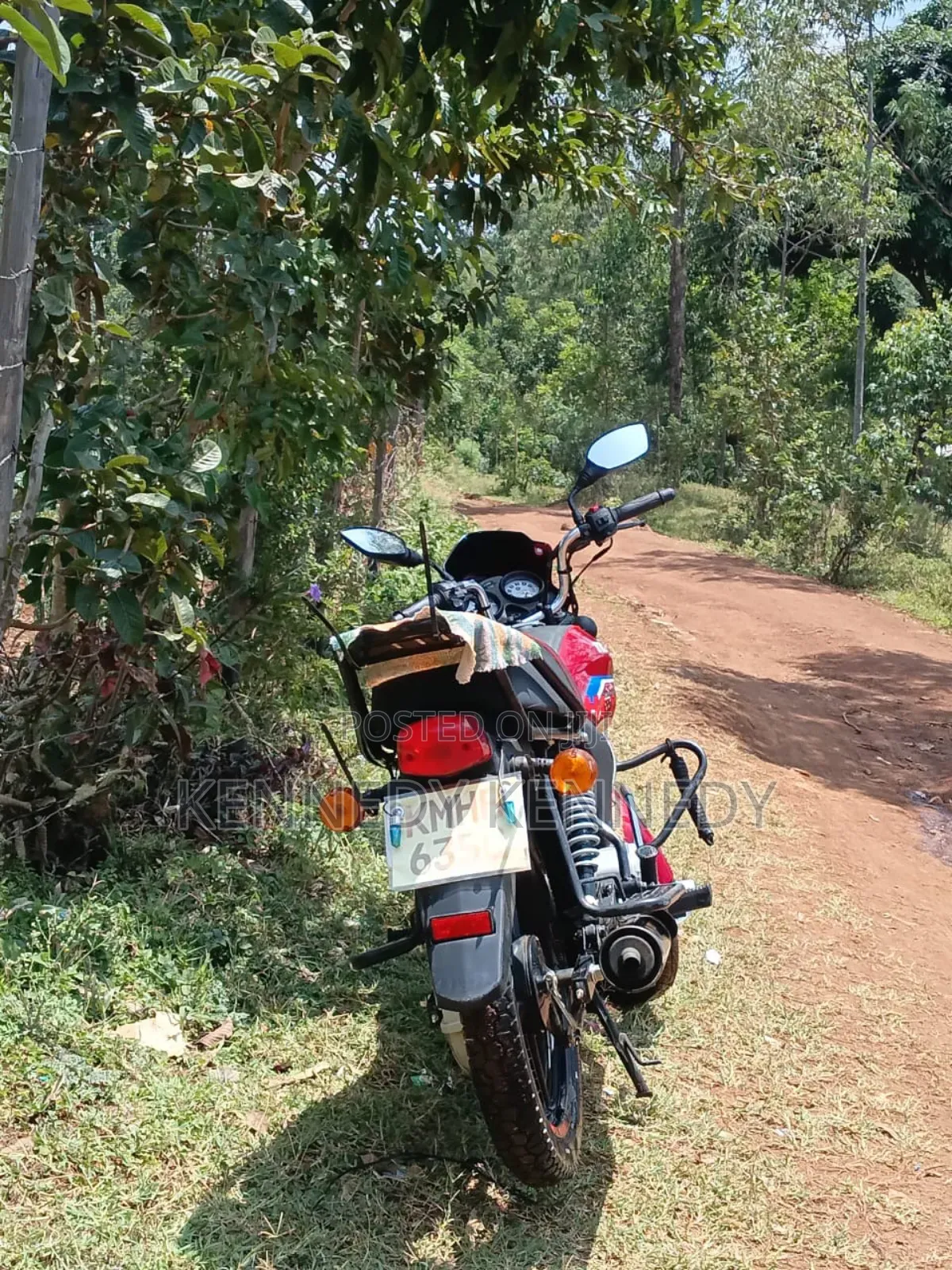 New TVS HLX 125 2024 Red