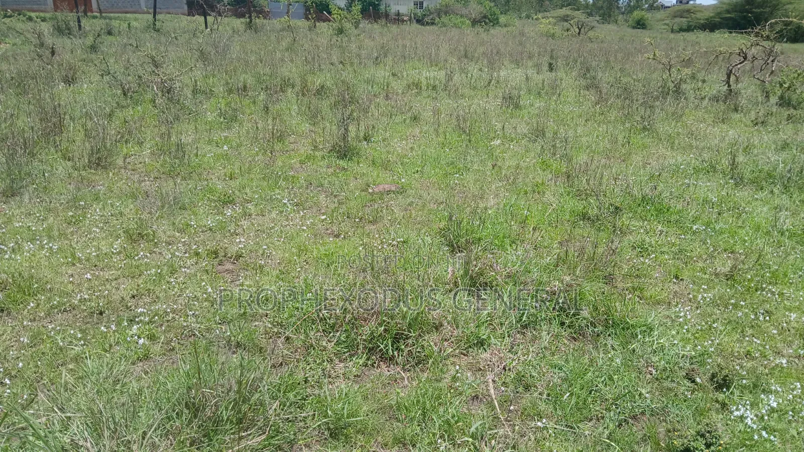 1/2 an Acre Prime Land for Sale in Ongata Rongai Masaai Lodge.