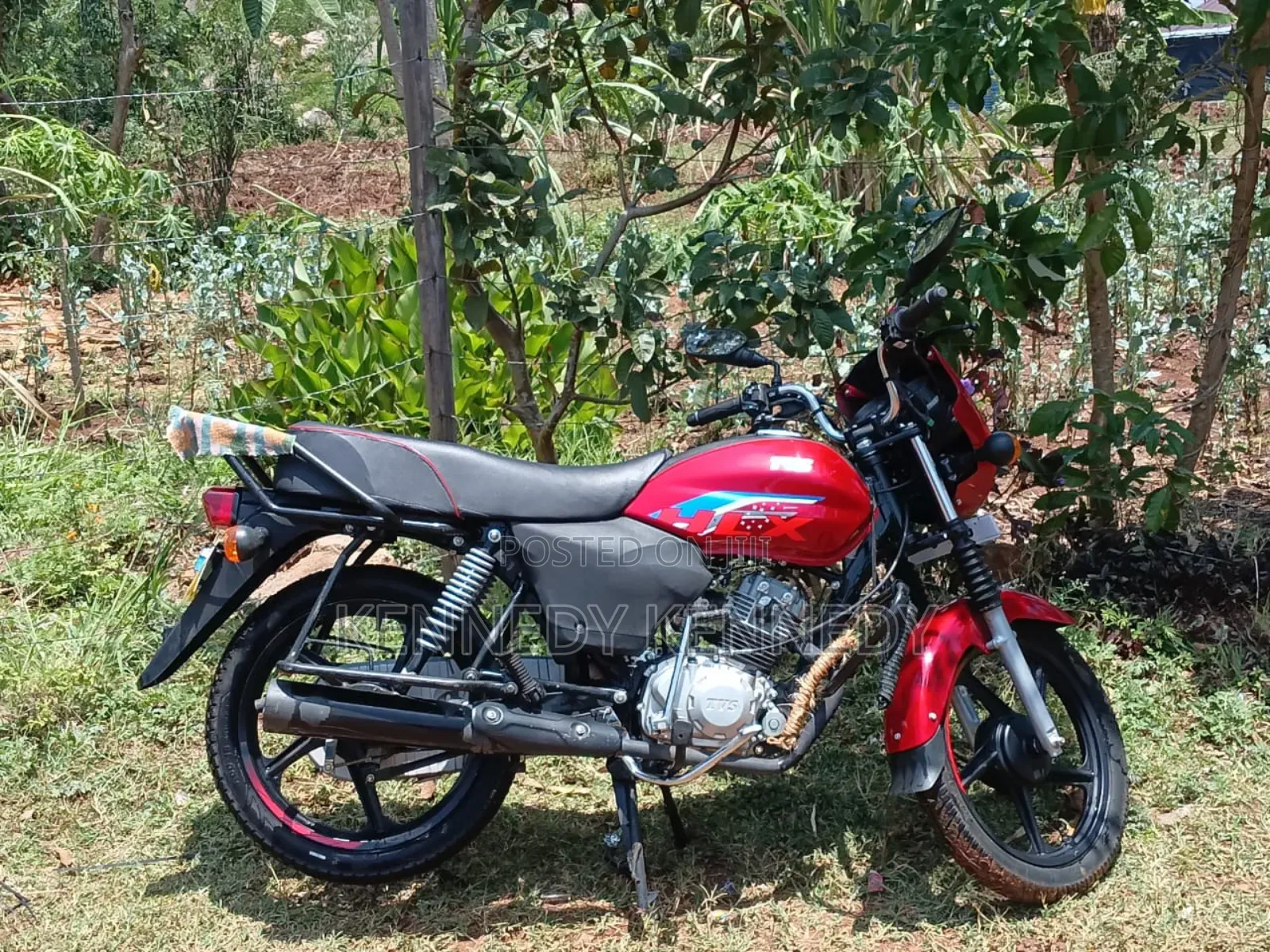 New TVS HLX 125 2024 Red
