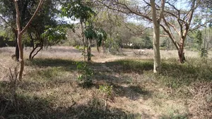 1/4 Acre Prime Plots for Sale in Ongata Rongai Town.
