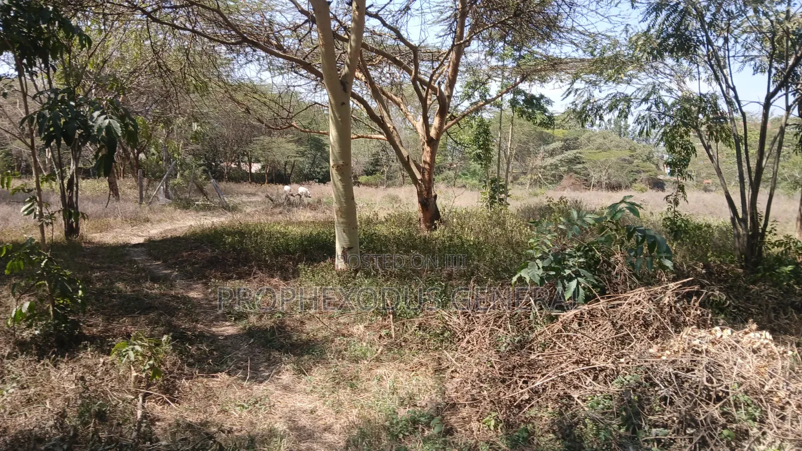 1/4 Acre Prime Plots for Sale in Ongata Rongai Town.