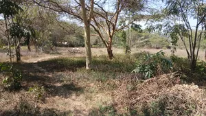 1/4 Acre Prime Plots for Sale in Ongata Rongai Town.