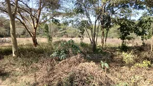 1/4 Acre Prime Plots for Sale in Ongata Rongai Town.