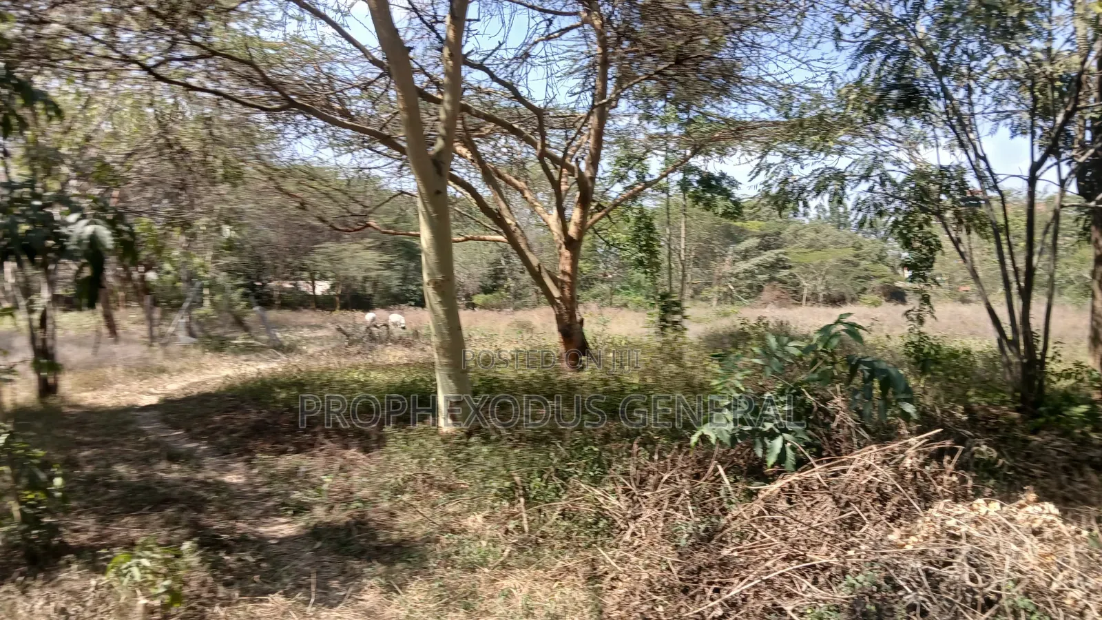 1/4 Acre Prime Plots for Sale in Ongata Rongai Town.