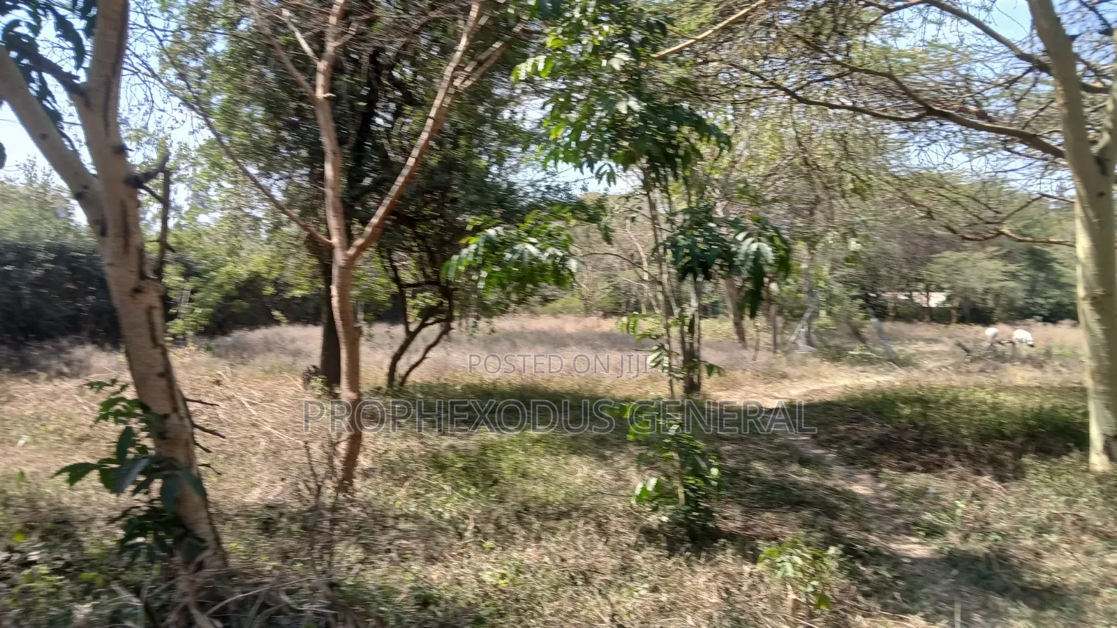 1/4 Acre Prime Plots for Sale in Ongata Rongai Town.