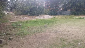 100ft by 100ft Prime Plots for Sale in Ongata Rongai Town.