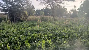 1/8  Prime Plots for Sale in Ongata Rongai Rimpa