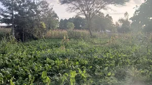 1/8 Prime Plots for Sale in Ongata Rongai Rimpa
