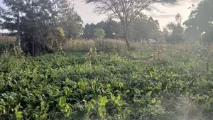 1/8 Prime Plots for Sale in Ongata Rongai Rimpa