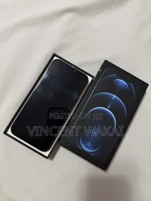 Apple iPhone 12 Pro Max 256 GB Blue