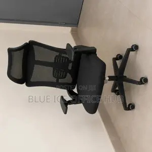 Ergonomic Mesh Office Chair With Headrest