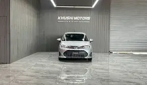 Toyota Corolla Fielder 2019 Silver