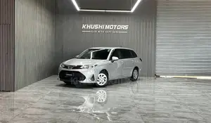 Toyota Corolla Fielder 2019 Silver