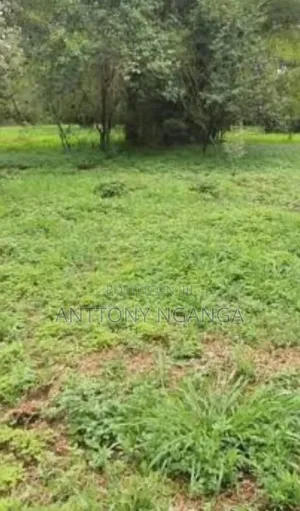 Land for Sale in Murang'A