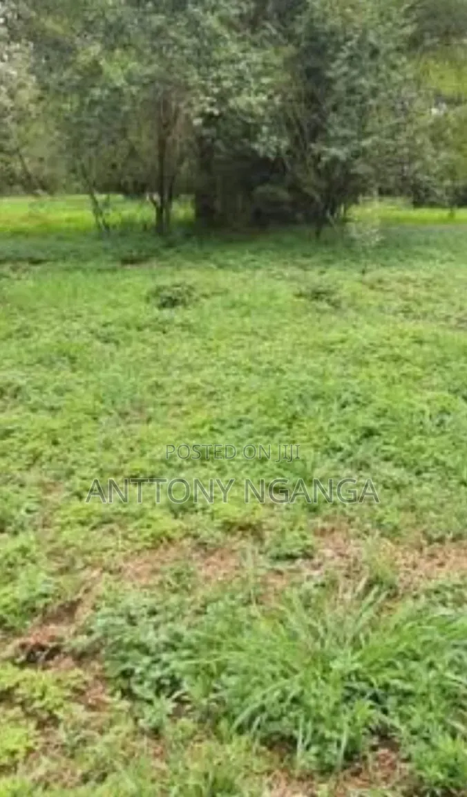 Land for Sale in Murang'A