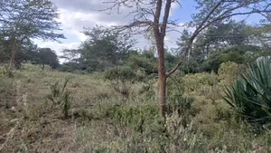 1/8 Acre Plots for Sale in Ongata Rongai Nkoroi