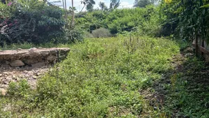 50ft by 100ft Commercial Plots for Sale in O/Rongai Nkoroi  Kamura
