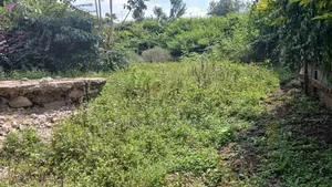 50ft by 100ft Commercial Plots for Sale in O/Rongai Nkoroi  Kamura