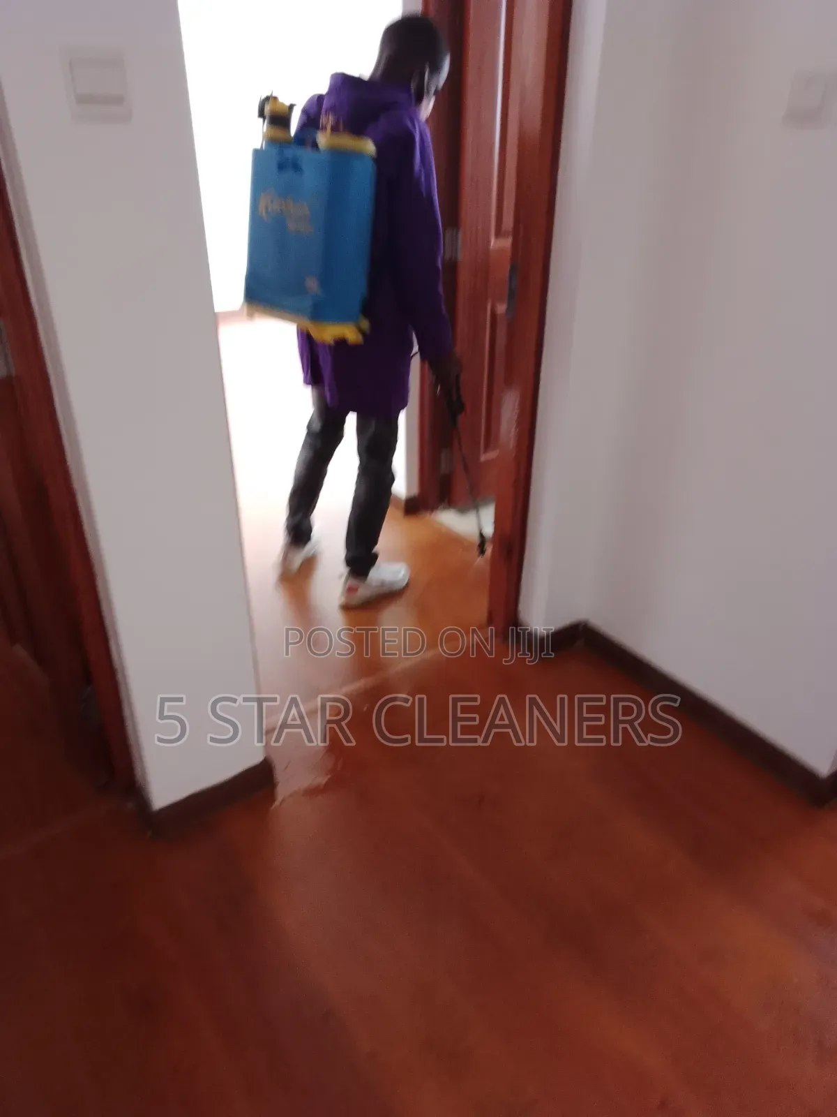 Book a Pest Control Services for Bedbugs and Cockroaches