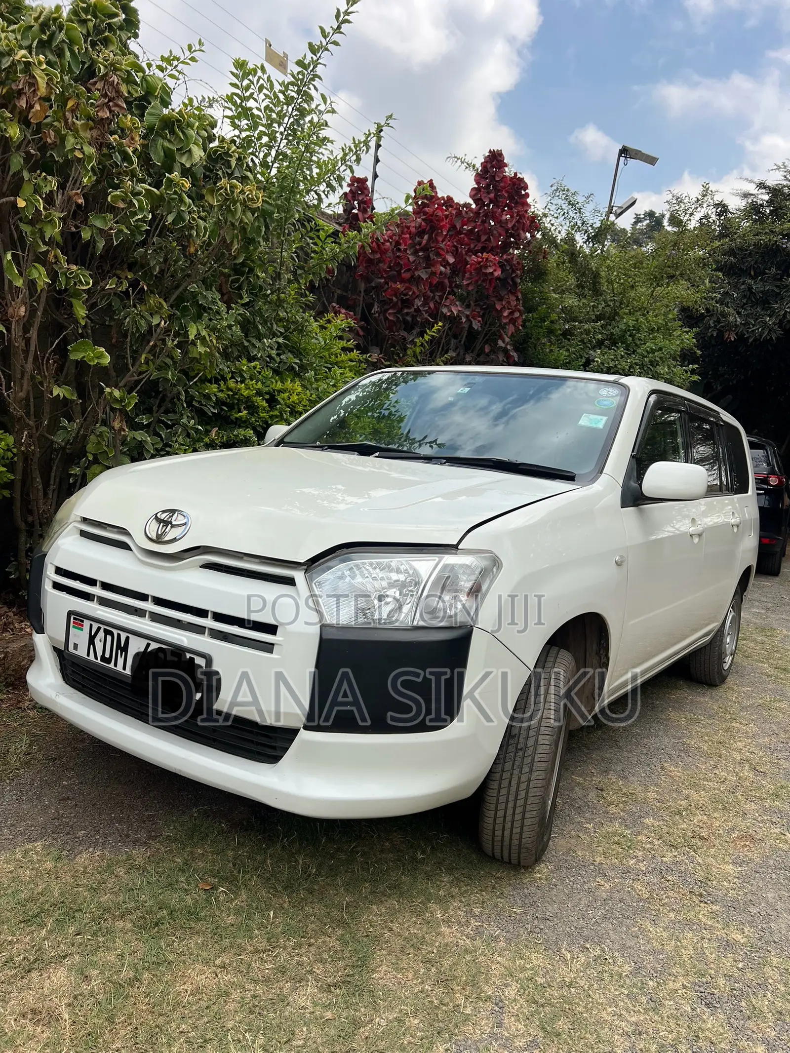 Toyota Probox 1.3 GL 2WD 2016 White