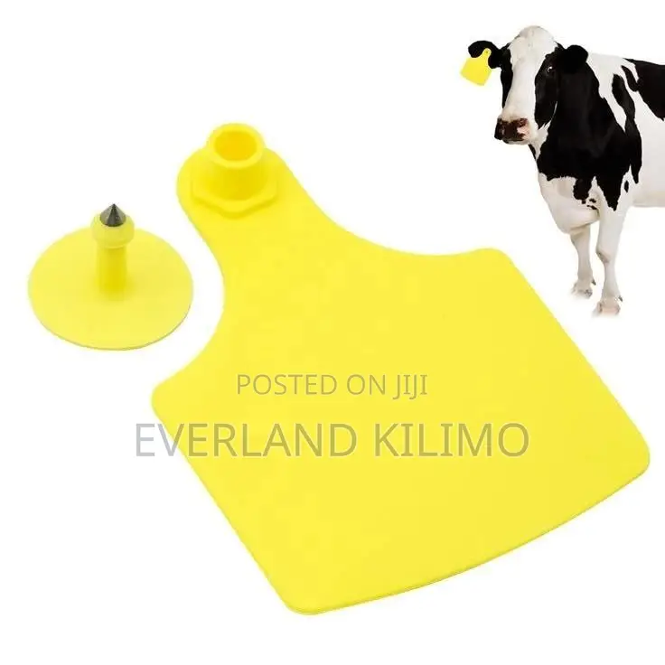 Plain Large Number Ear Tags for Cows