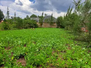 Prime Plot in Kiamunyeki Lanet