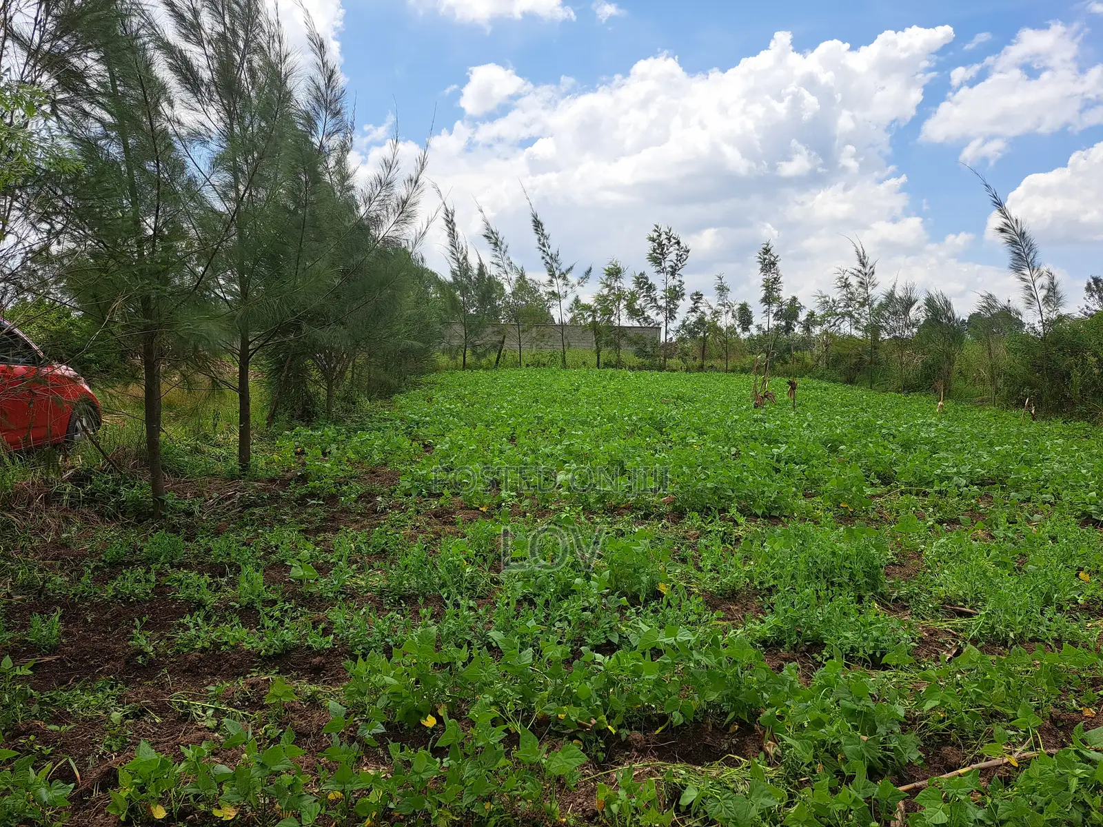 Prime Plot in Kiamunyeki Lanet