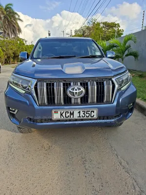 Toyota Land Cruiser Prado 2010 Blue