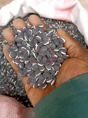 Blackbeans/Njahi