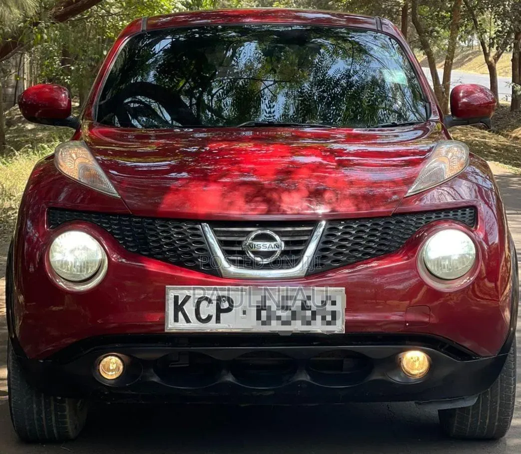 Nissan Juke 2011