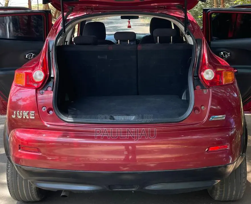 Nissan Juke 2011